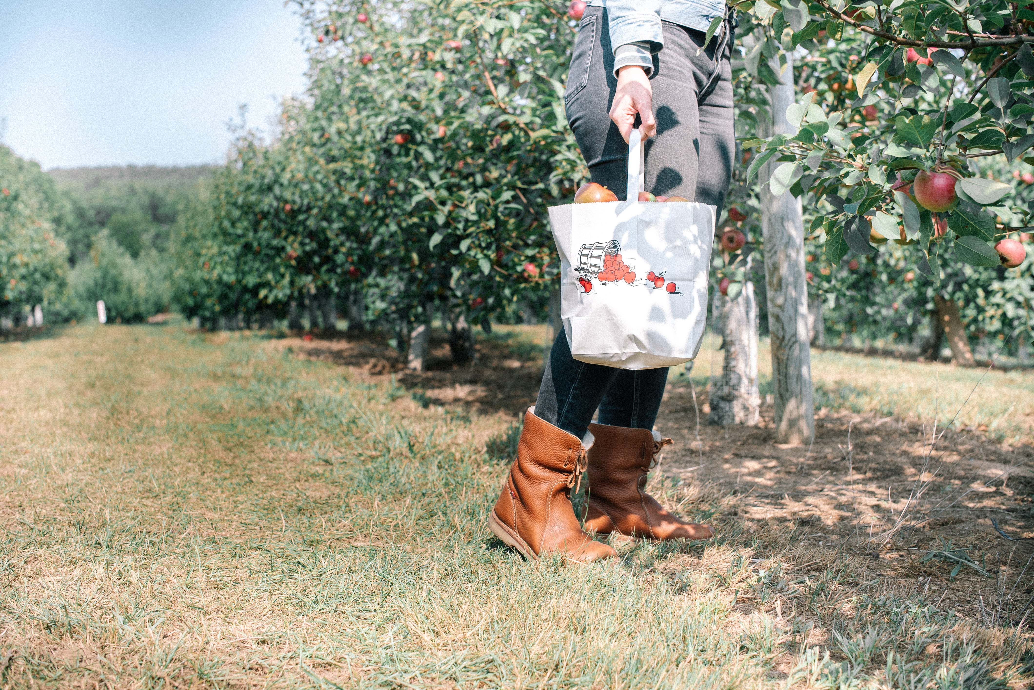 Falltime Apple Picking