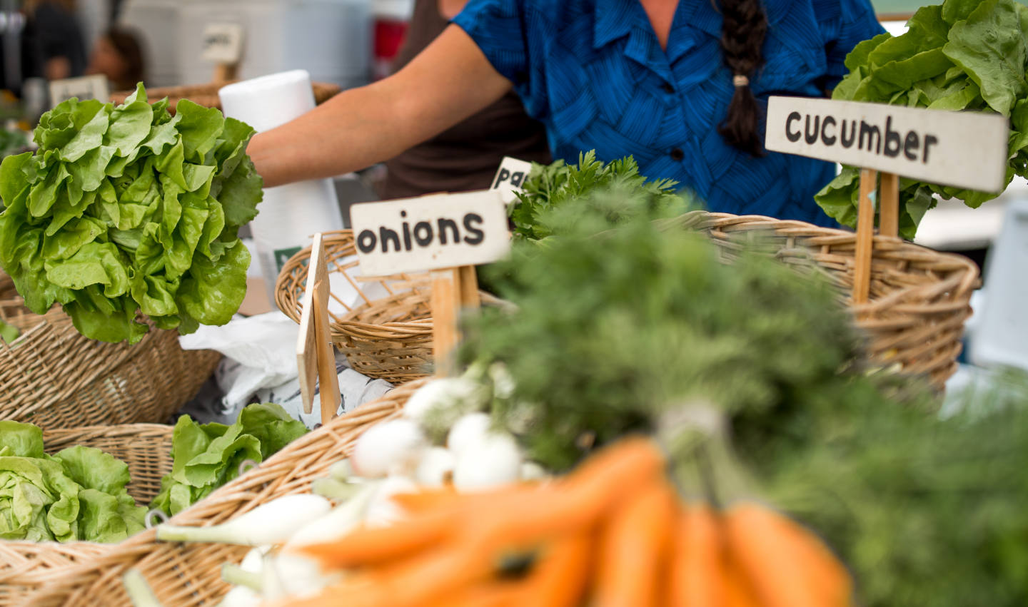 6 Steps For Starting Your Own Veggie Garden